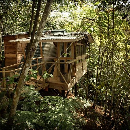 Cunae Ecolodge San Francisco de Macoris Exterior photo